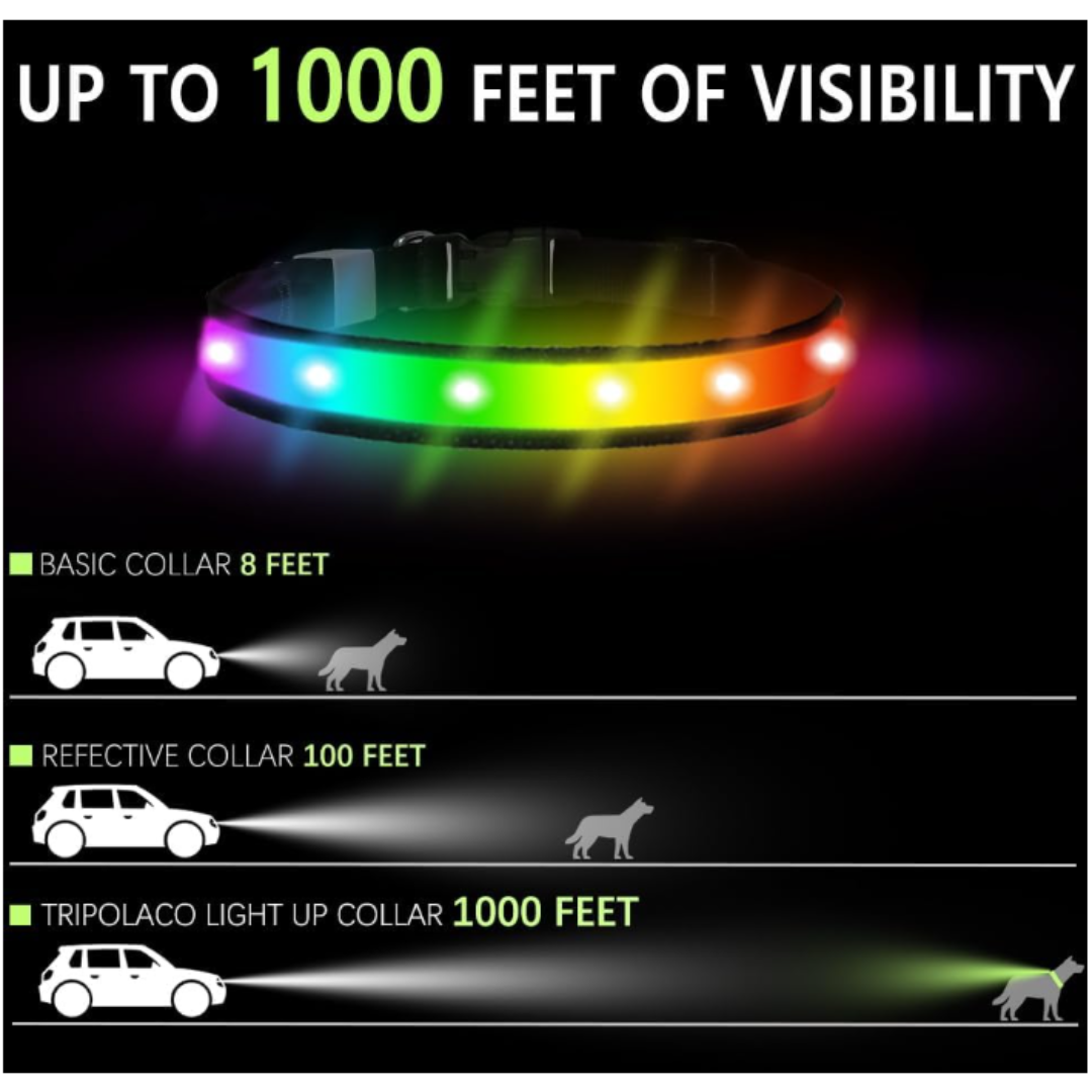 NyteBright Colorful Pet Collar