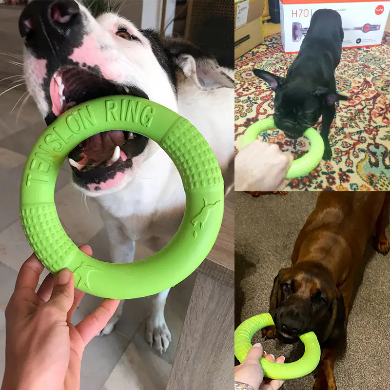 Interactive EVA Training Rings