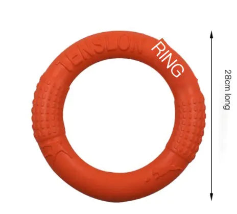 Interactive EVA Training Rings