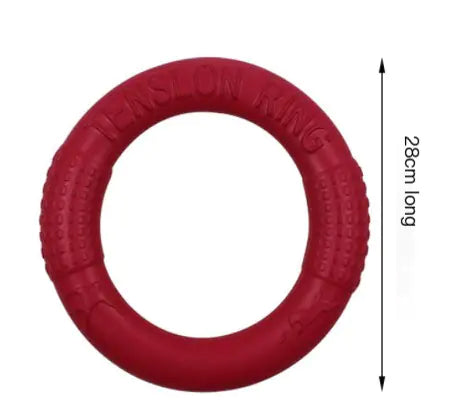 Interactive EVA Training Rings